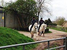 Woodland ride for Iona and Rupert