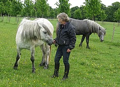 Balleroy Illiana - Highland Pony