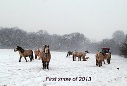 First Snow 2013